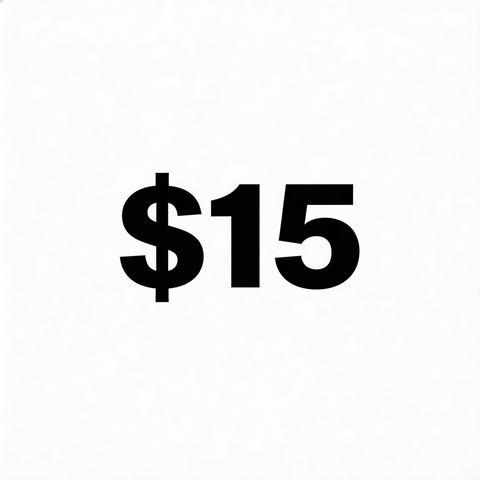 Additional Payment Link